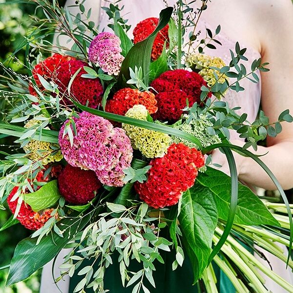 The Complete Range of Celosia in a bouquet