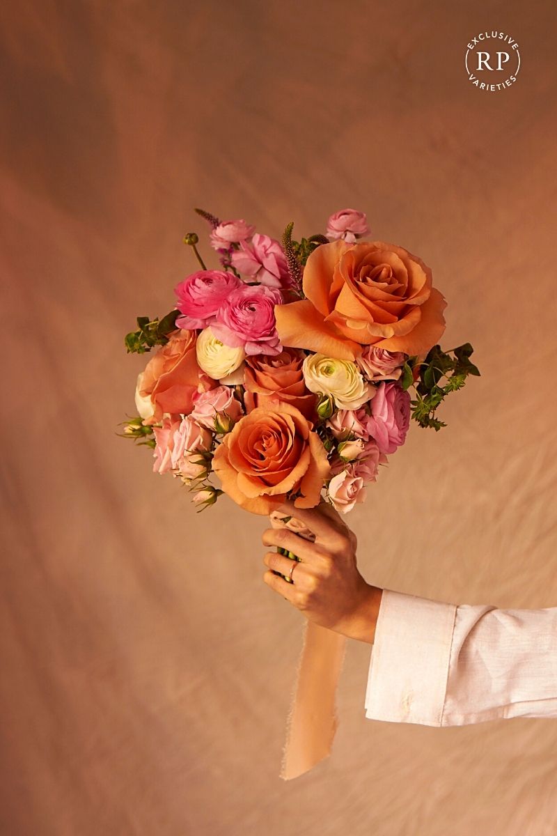 Moab New Rose Variety by Rosaprima- on Thursd
