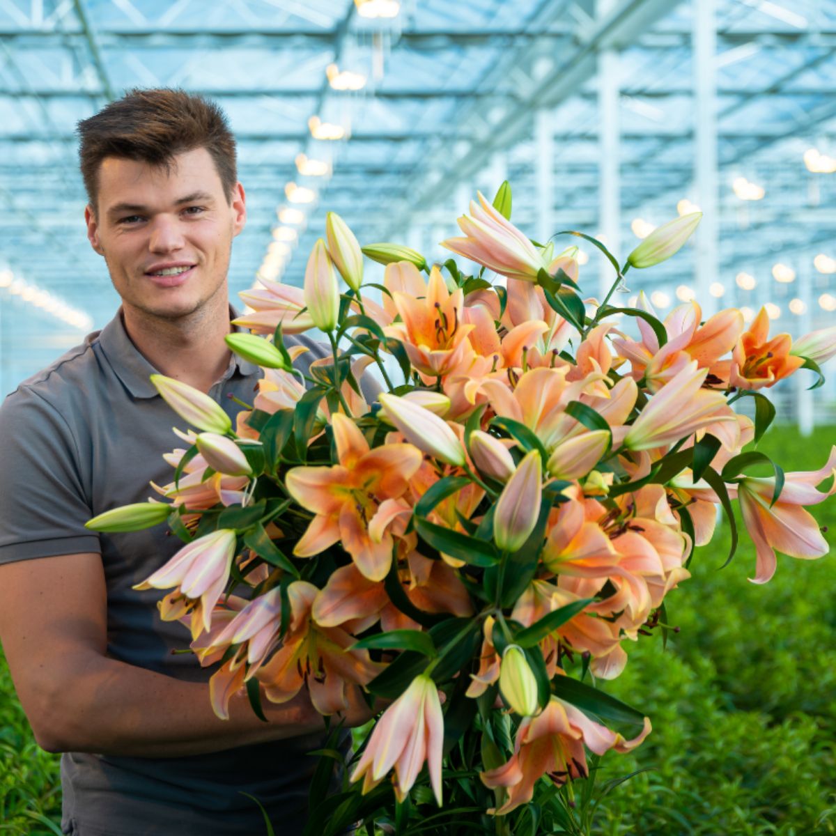 making-the-connection-between-a-lily-grower-and-florists-featured
