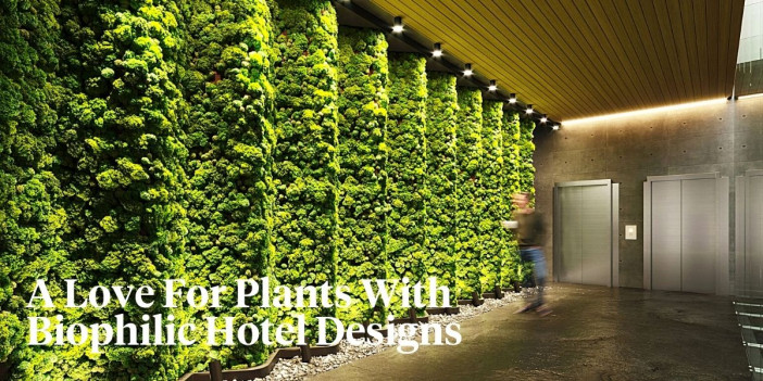 The World's Top 5 Biophilic Hotel Designs