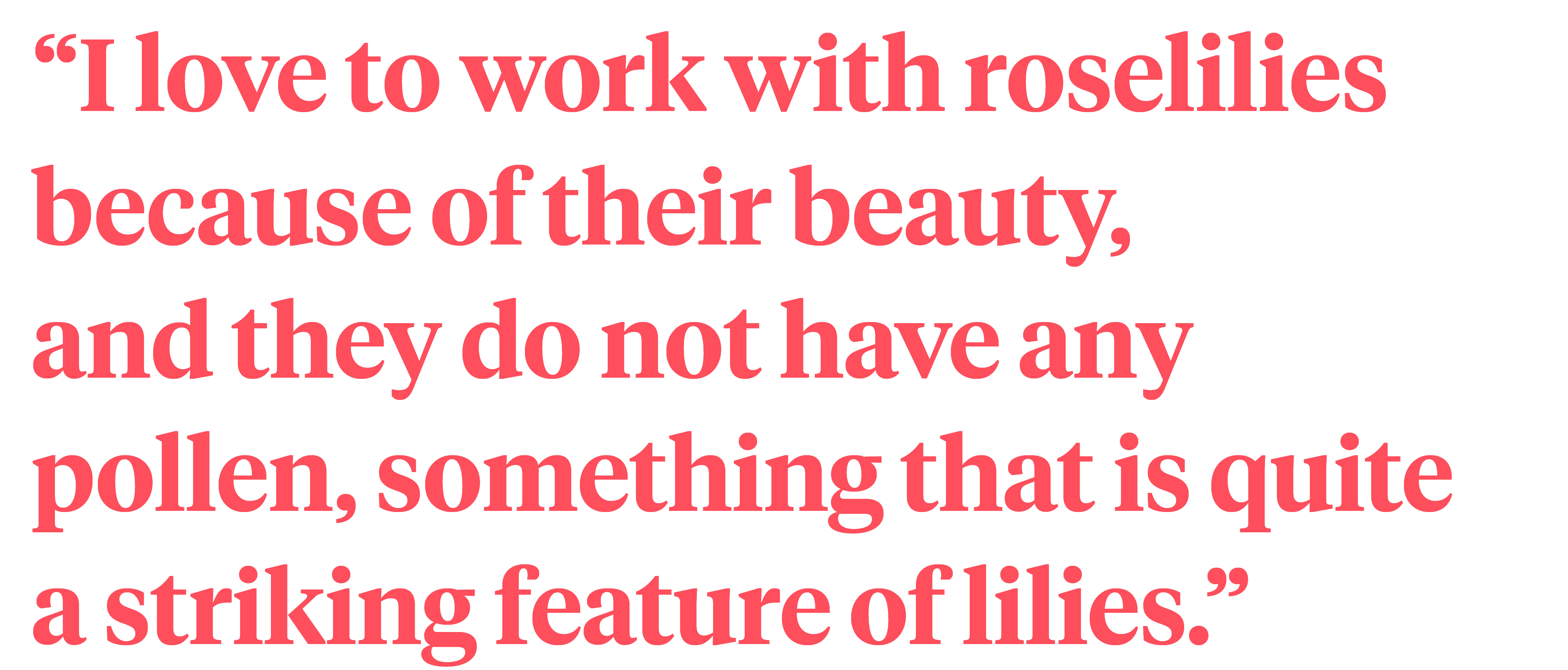 Roselily - Dorien van den Berg quote on Thursd