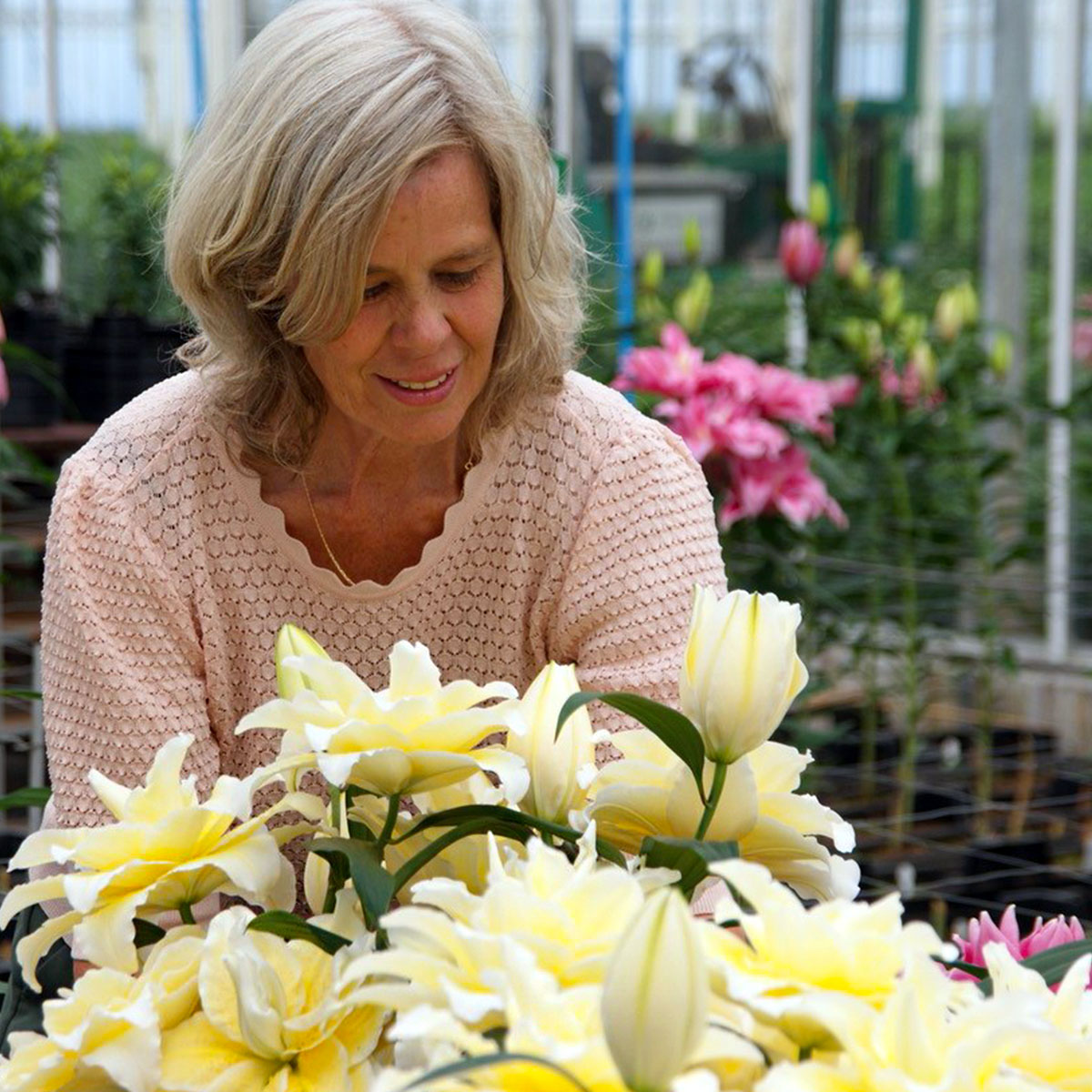 Dutch Miss Lily Dorien van den Berg Is Passionate About Roselilies feature - on Thursd