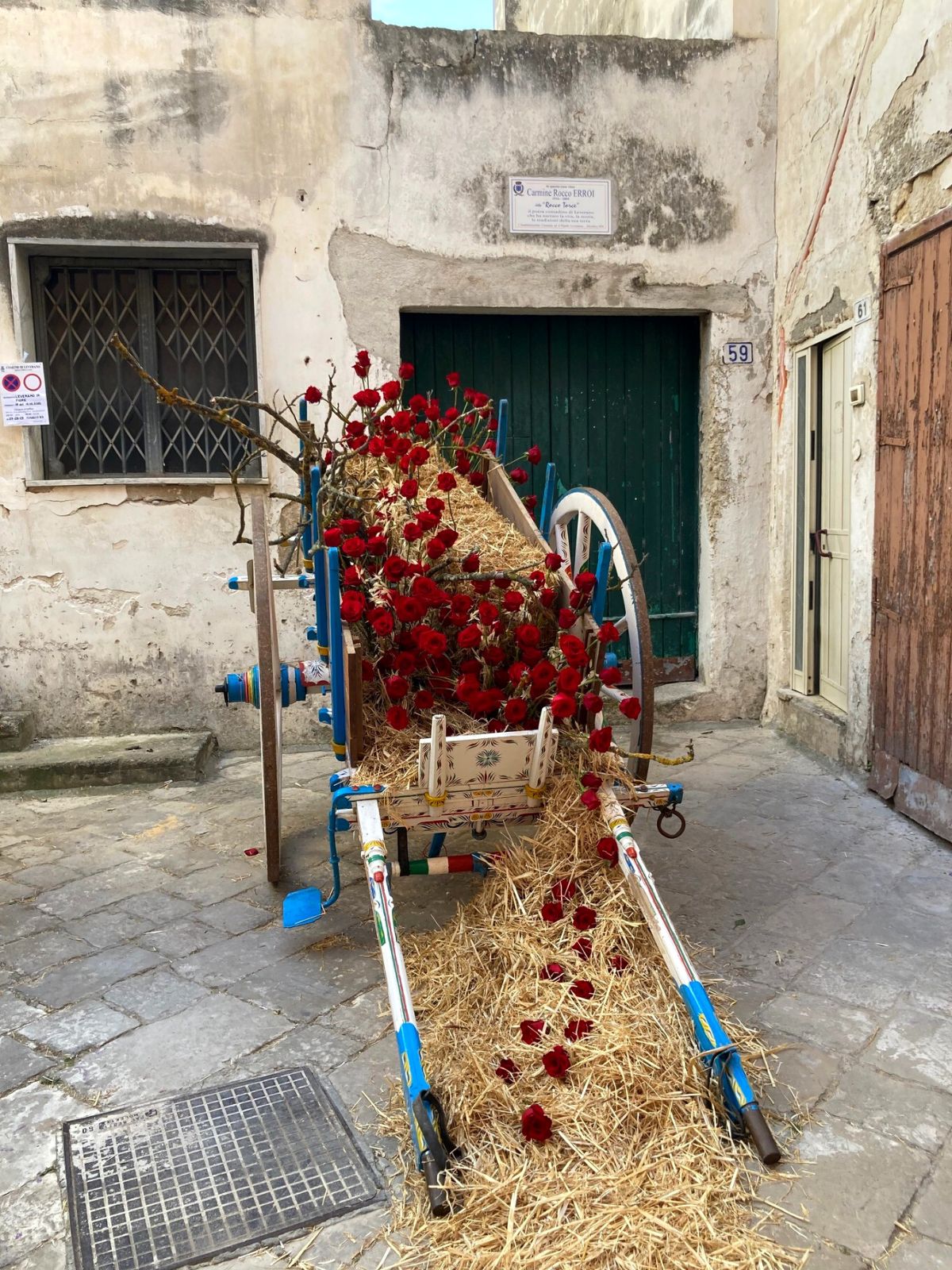 Winning Carriage Team Greece with Red Roses from Naranjo Roses - on Thursd