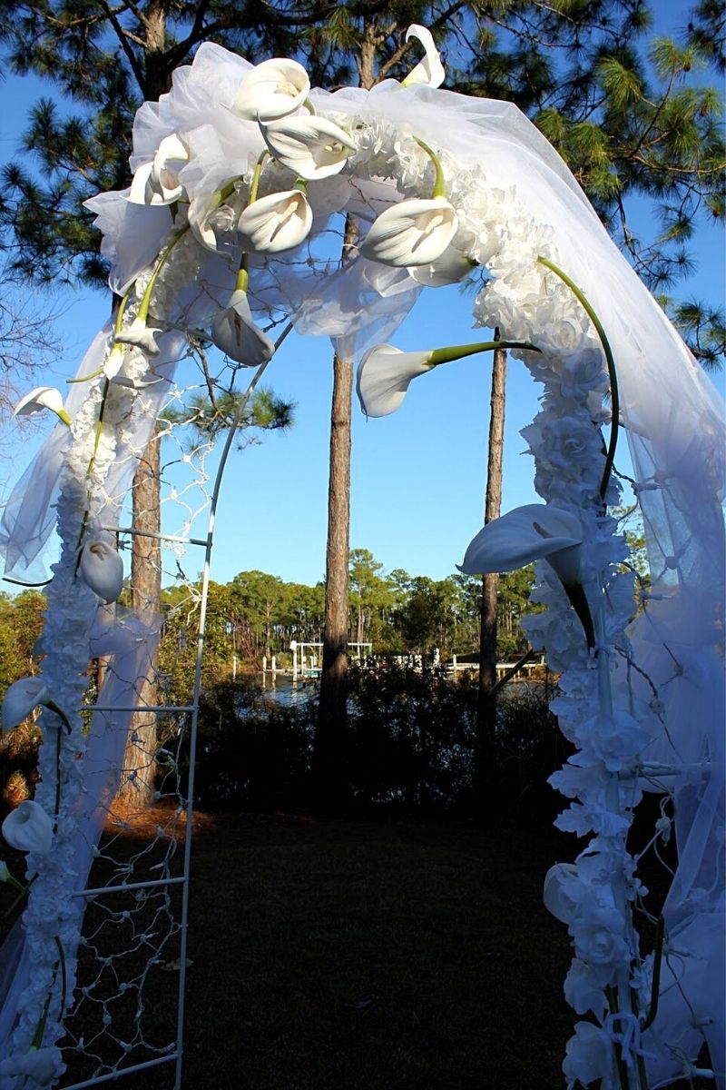 White Calla Arch- on Thursd