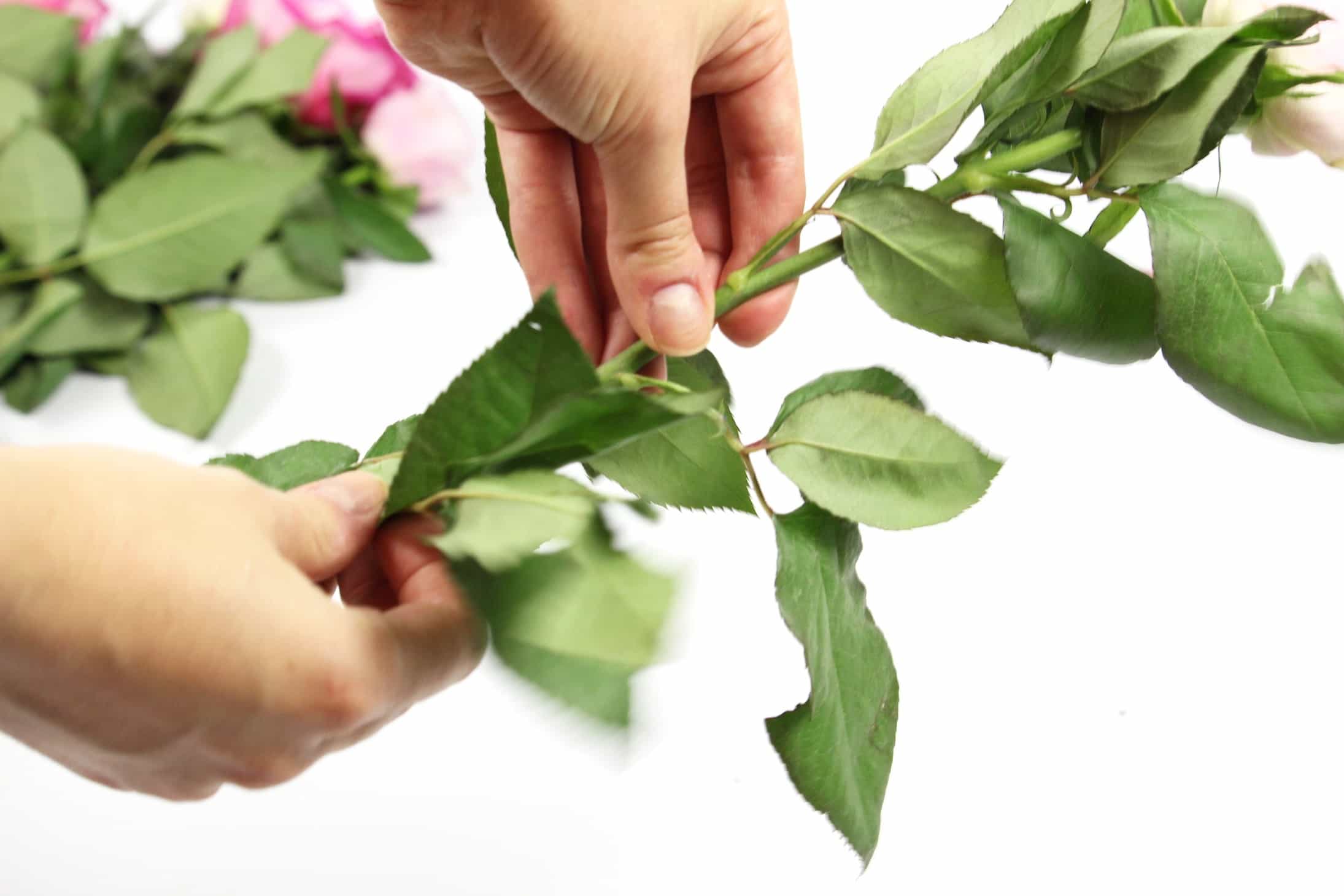 Removing leaves is one tip for best care for cut roses