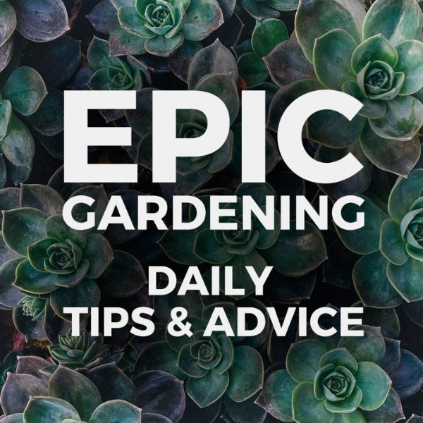Epic Gardening Plant Podcast- on Thursd 