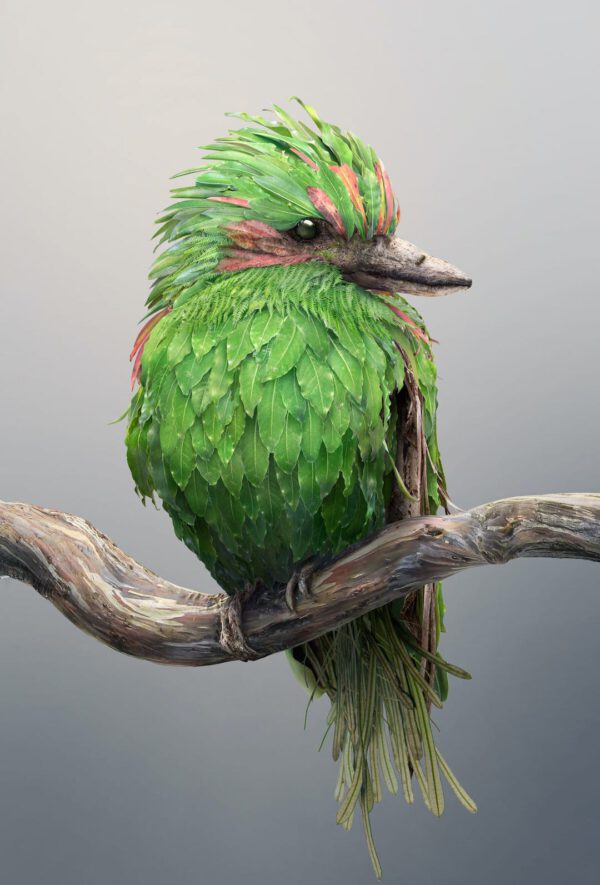 Distinctive Animal Species or Photoshop Masterpiece - kooka portrait - josh dykgraaf - on thursd