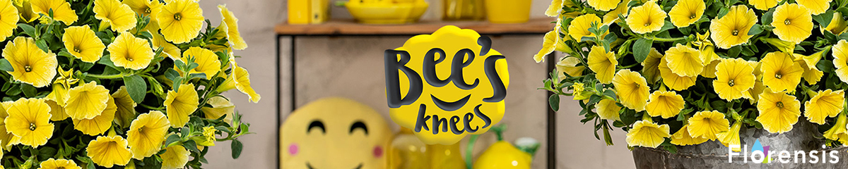 Bee's Knees banner