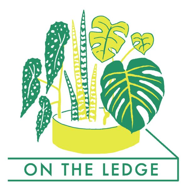 Top Plant Podcasts - On the Ledge Podcast - on Thursd