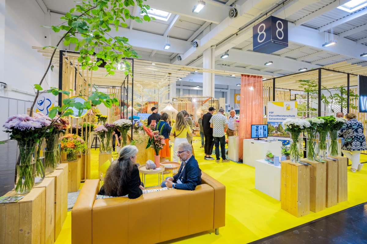 FDF Lounge With Chrysanthemum Presentation at IPM Essen Summer Edition - on Thursd