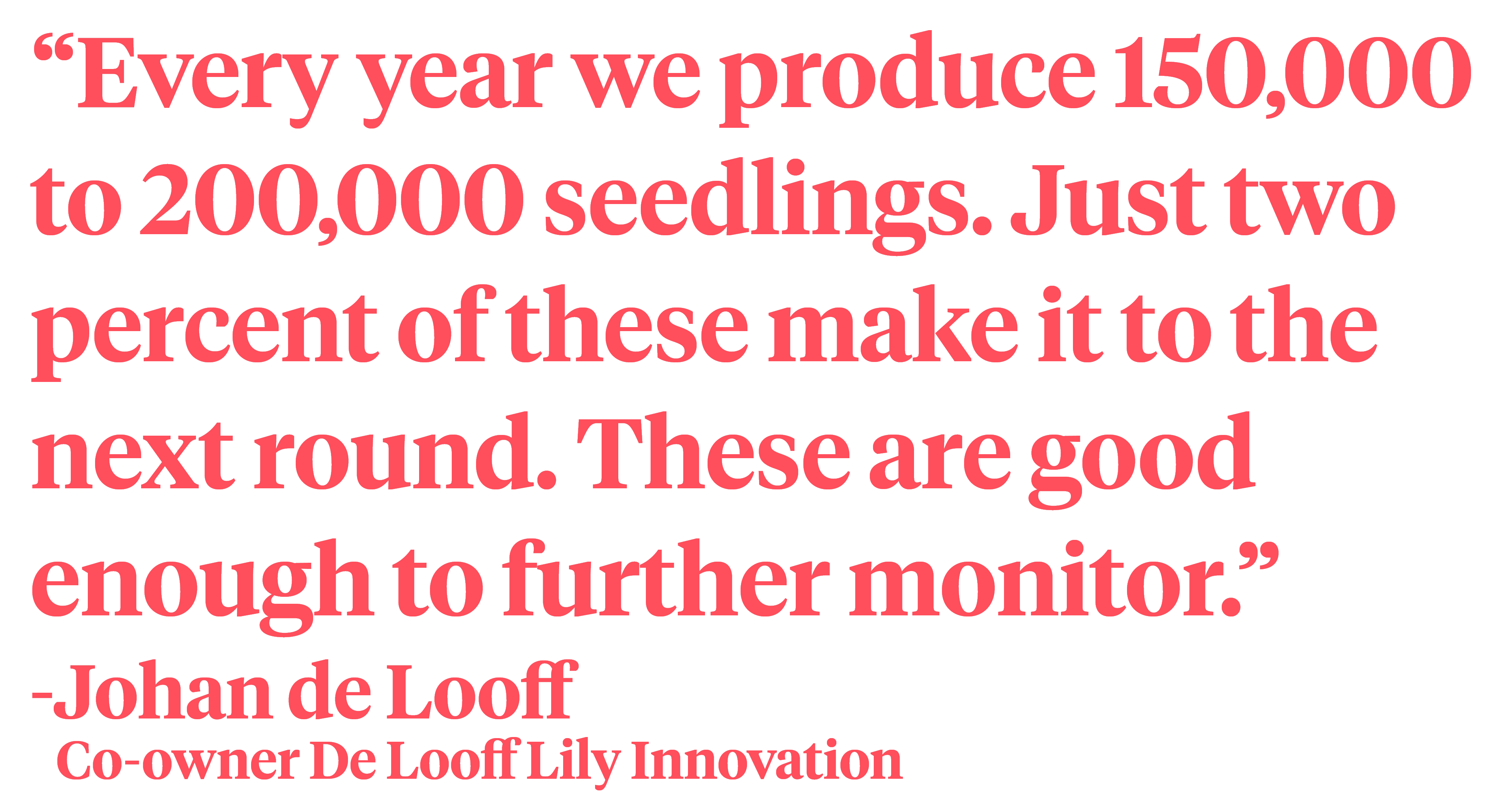 Quote 150000 seedlings De Looff - on Thursd