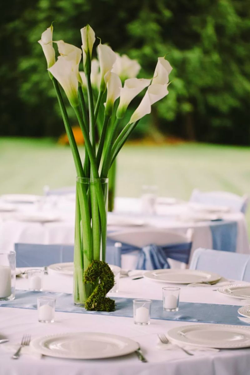 White Callas in glass vases- on Thursd