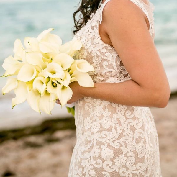 White Callas are a great option for weddings- on Thursd 