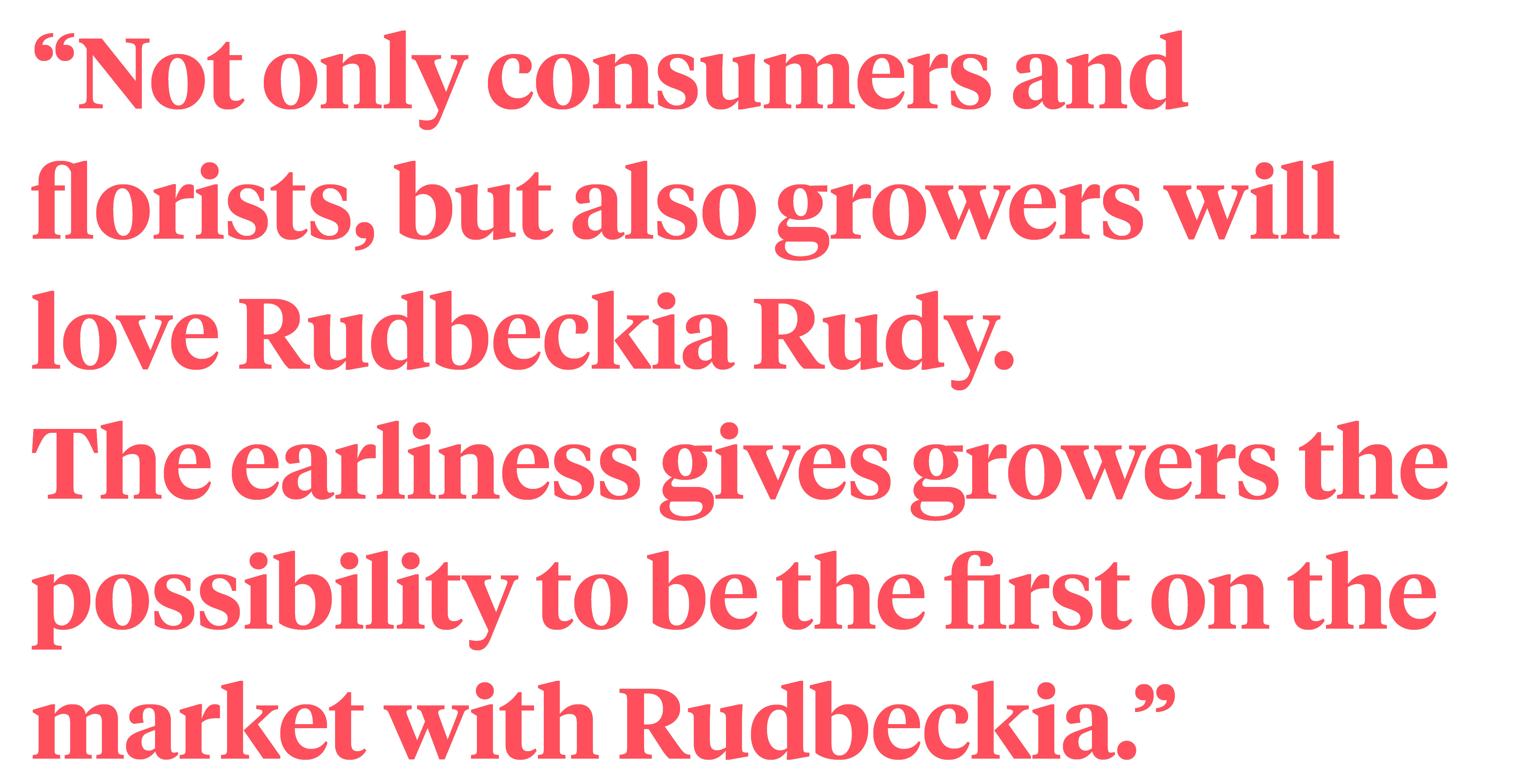 Rudbeckia Rudy by Florensis quote on Thursd