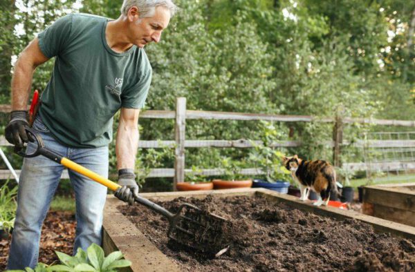 The Top 10 Gardening Podcasts You Must Follow - joe gardening show - on thursd