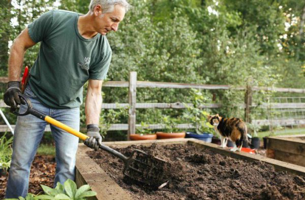 The Top 10 Gardening Podcasts - joe gardening show