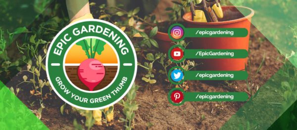 Epic gardening - The Top 10 Gardening Podcasts