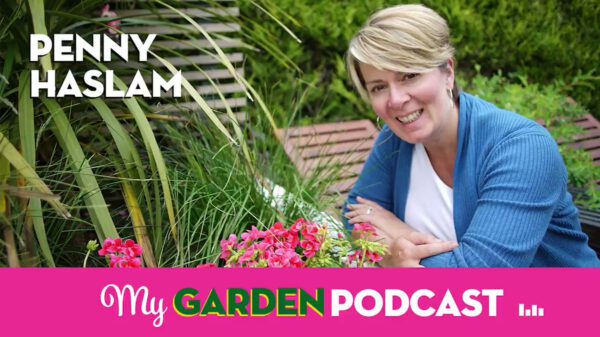 The Top 10 Gardening Podcasts - My garden podcast 