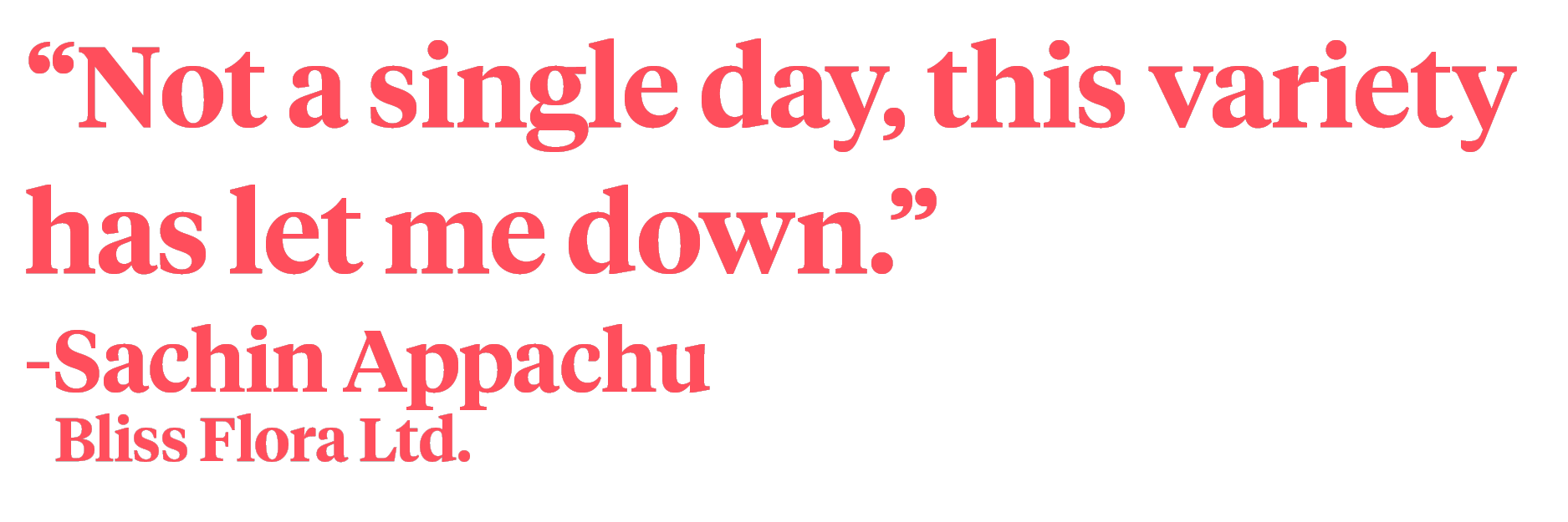 Quote Sachin Appachu - Bliss on Thursd.