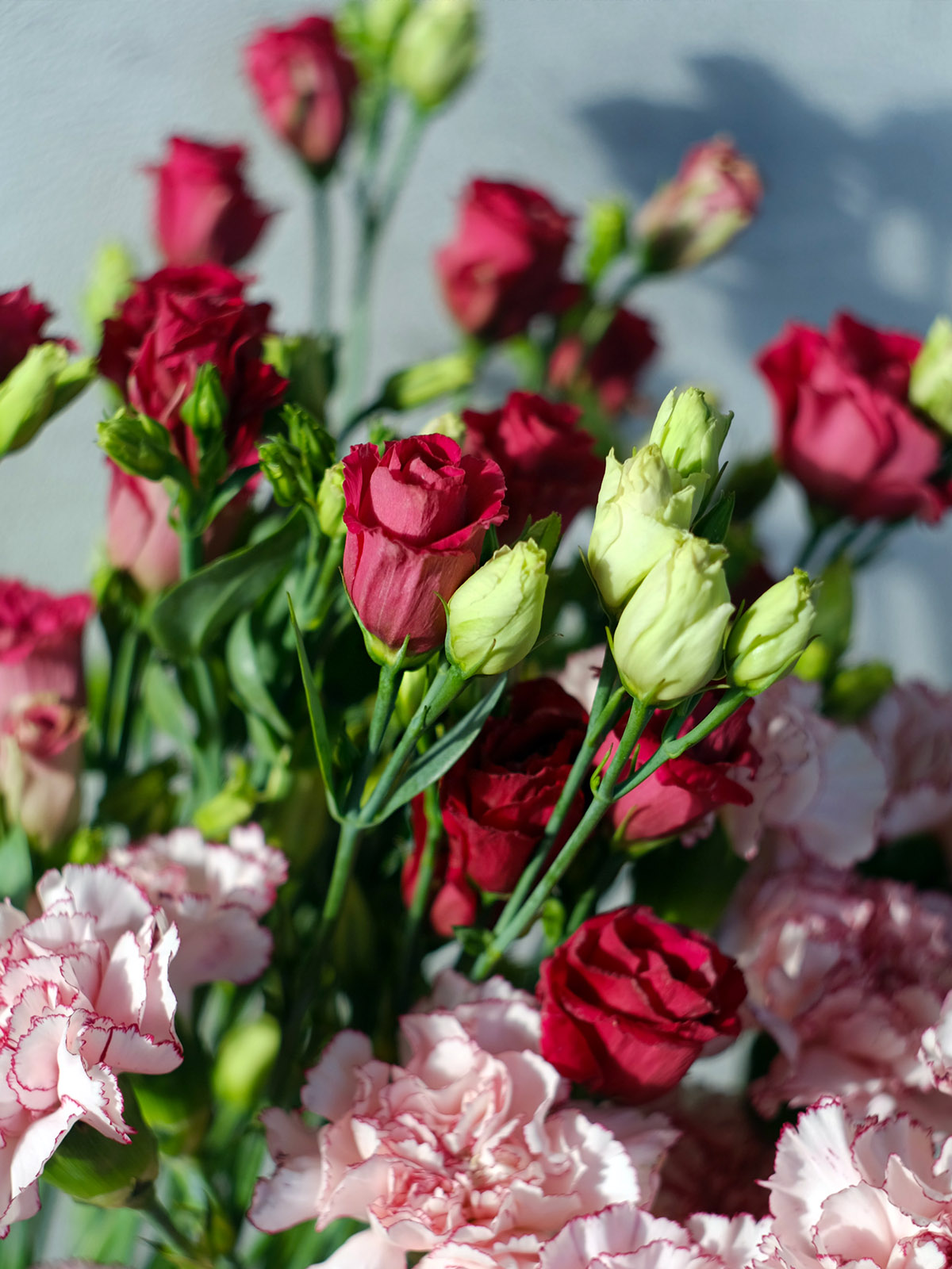 Red Lisianthus and carnations by Aleksandra Sapozhnikova on Thursd