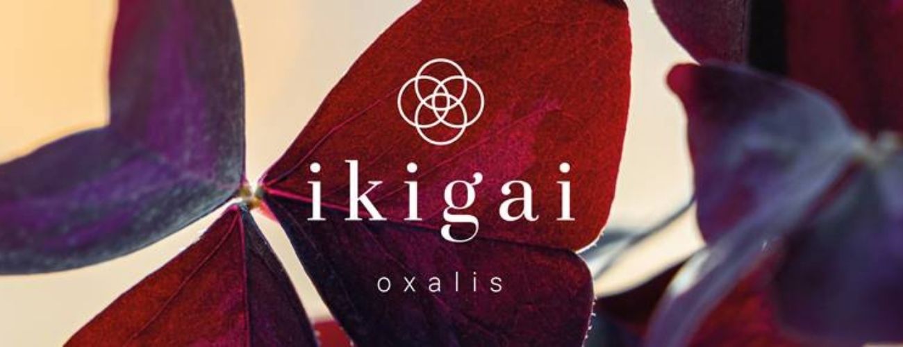 Ikigai - the new Oxalis - on Thursd - 05