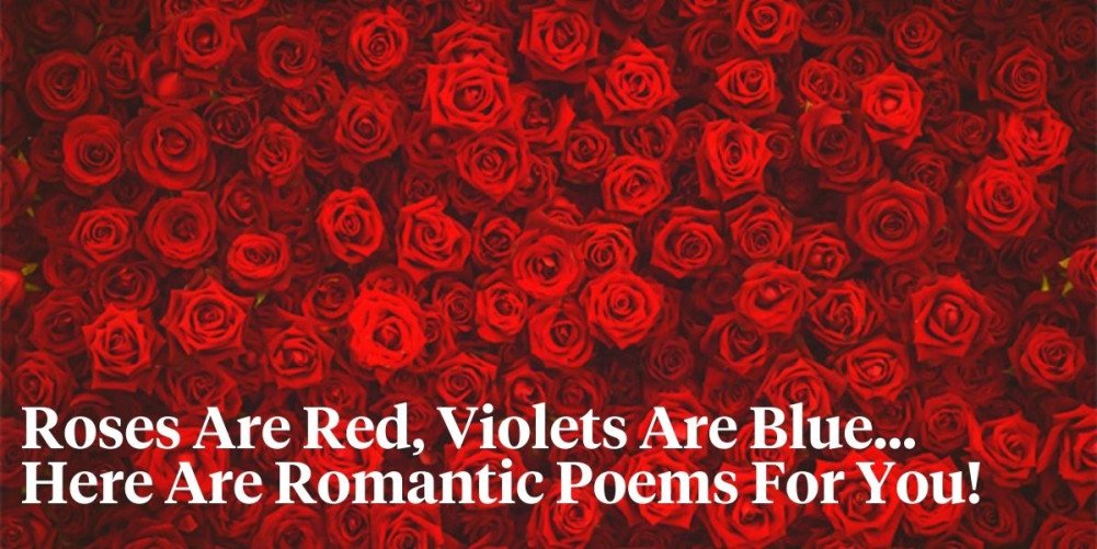 Roses Are Red Violets Are Blue My Heart Is Dead The Origin of the 'Roses Are Red Violets Are Blue' Poem