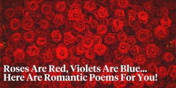 The Origin of the 'Roses Are Red Violets Are Blue' Poem - Arti...