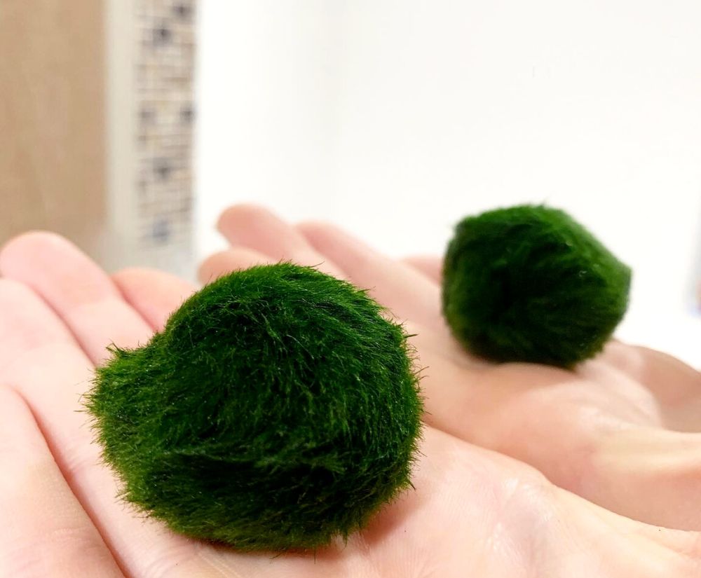 Just green balls on hand