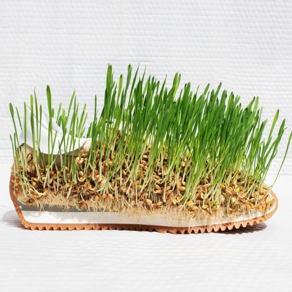 Loewe sprouts grasses and plants from sodden clothes at Paris Fashion Week