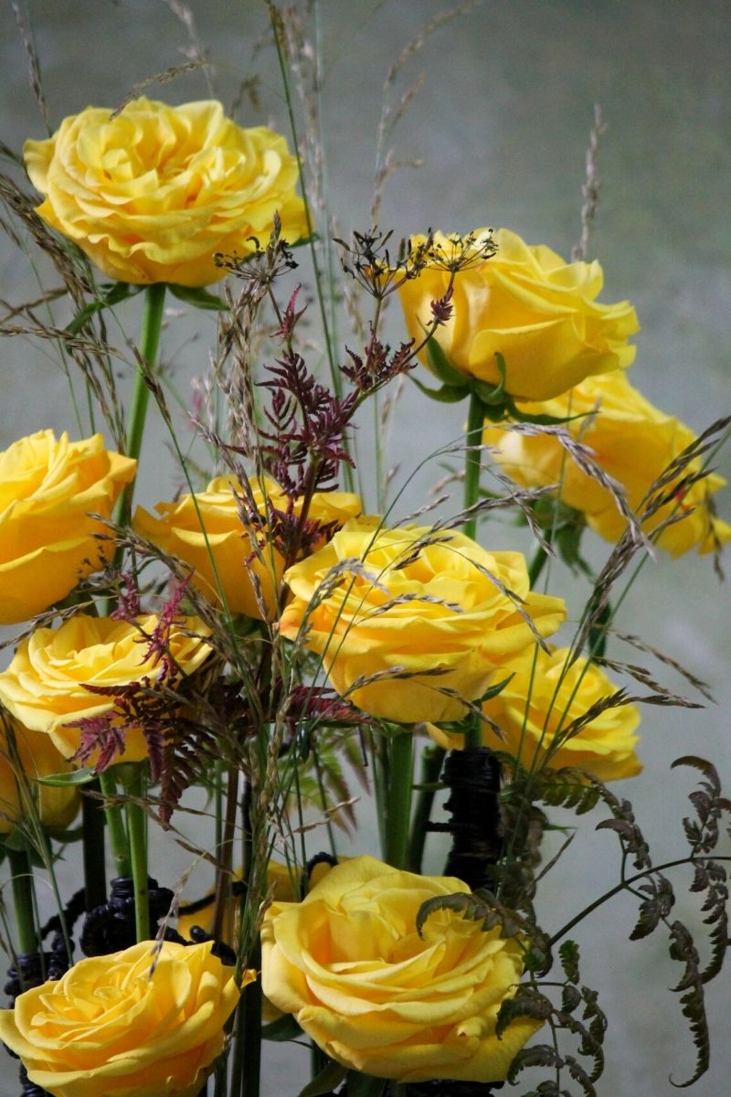 Yellow Rose Basanti - A De Ruiter rose