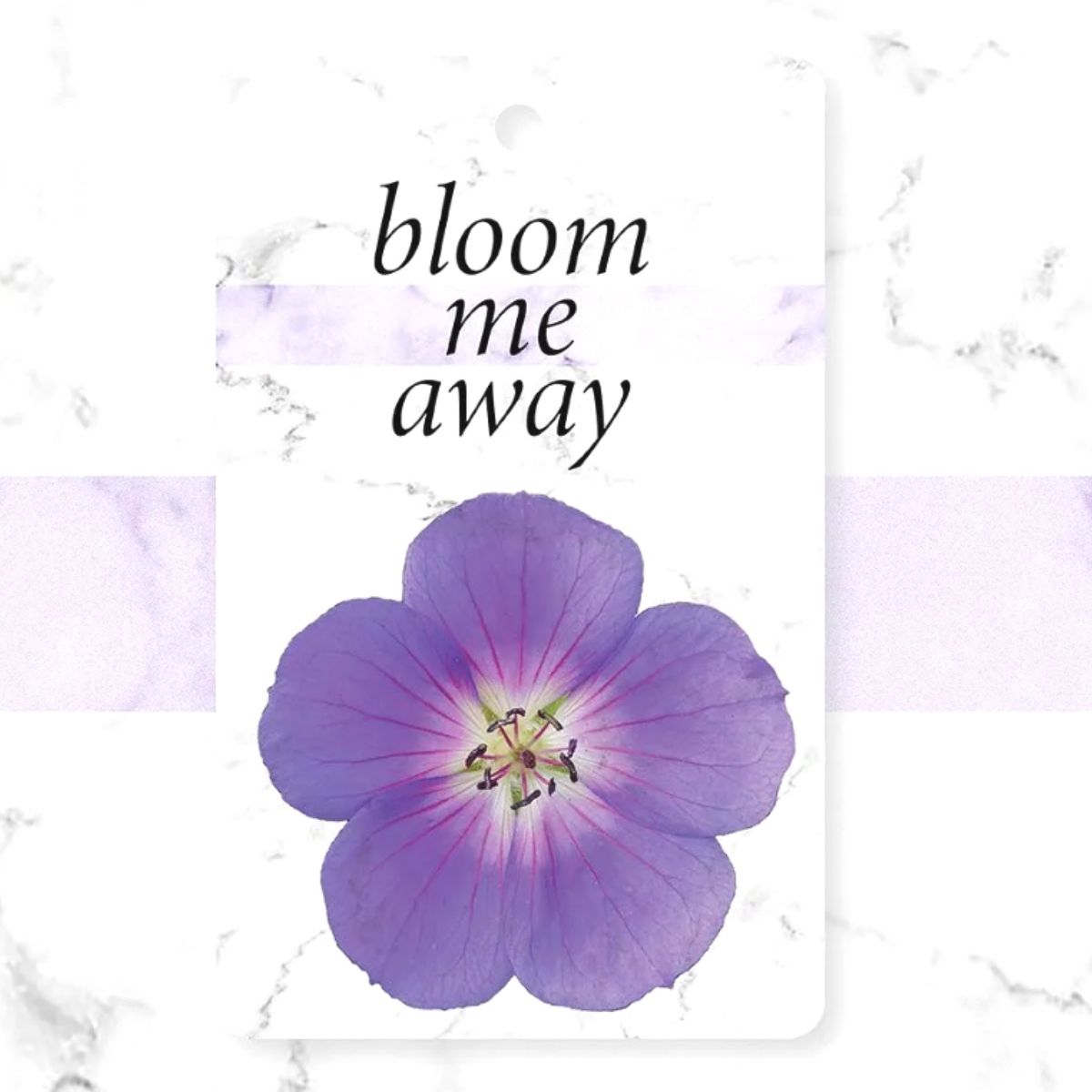 Bloom Me Away Florensis- on Thursd 