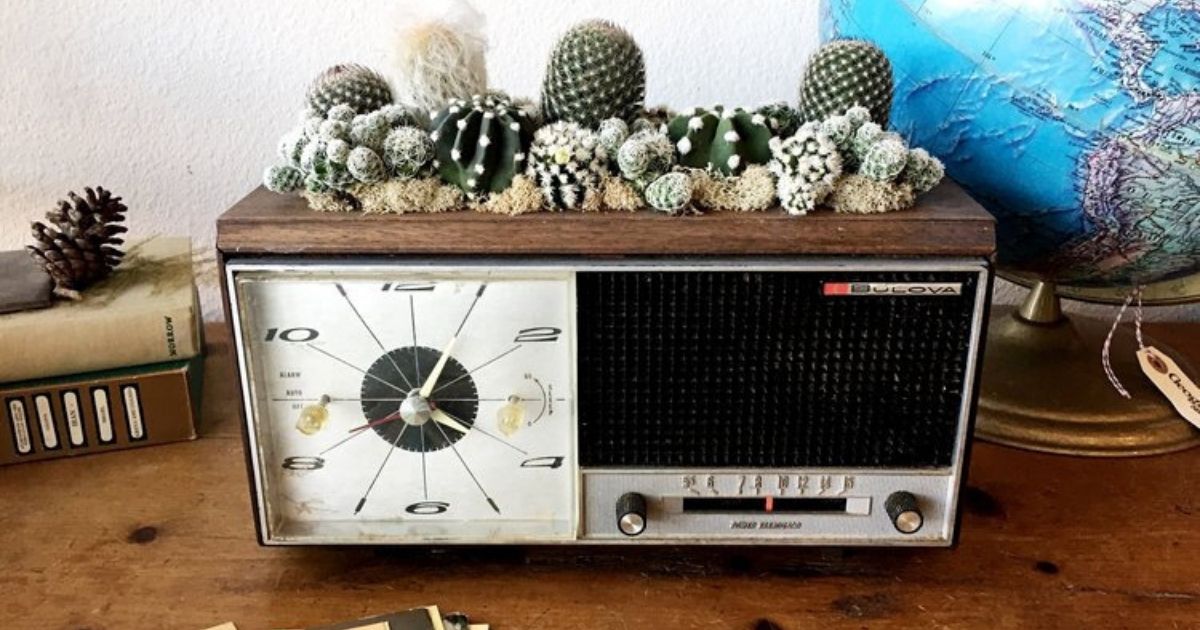 OPAL design and nature using cacti on radios- on Thursd 