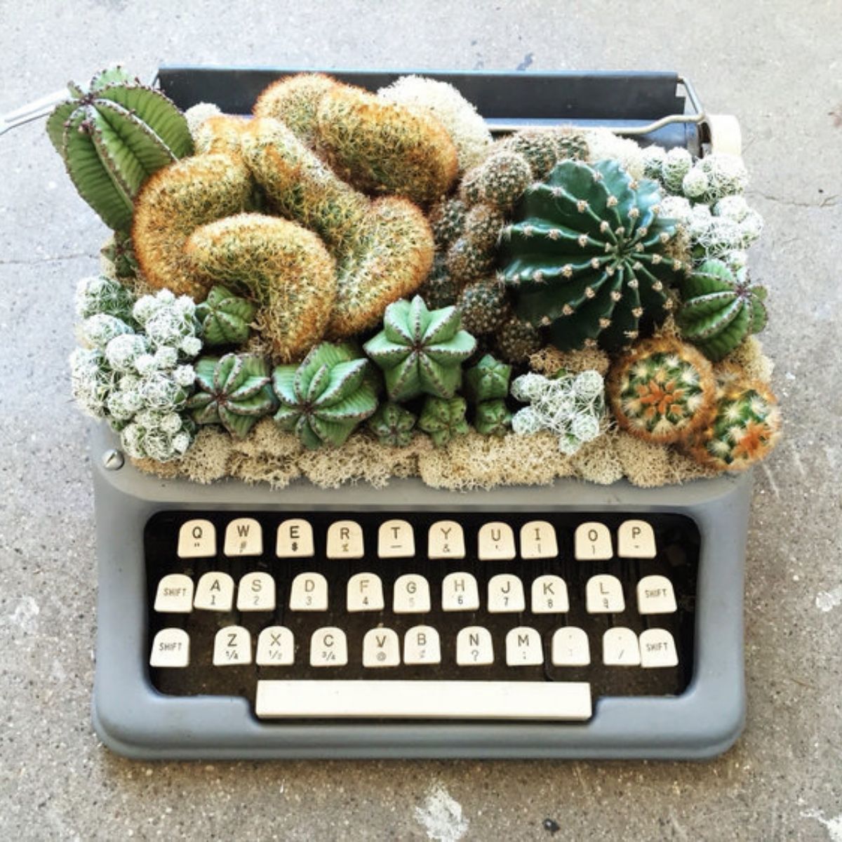 OPAL design and nature typewriter- on Thursd 
