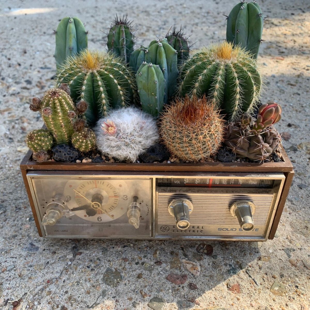 opal-design-brings-cacti-to-life-in-these-incredible-vintage-pieces-featured