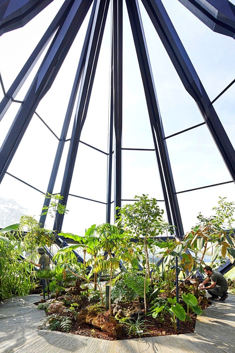 Plants inside heatherwick's jewel like plant glasshouse closed shape- on Thursd