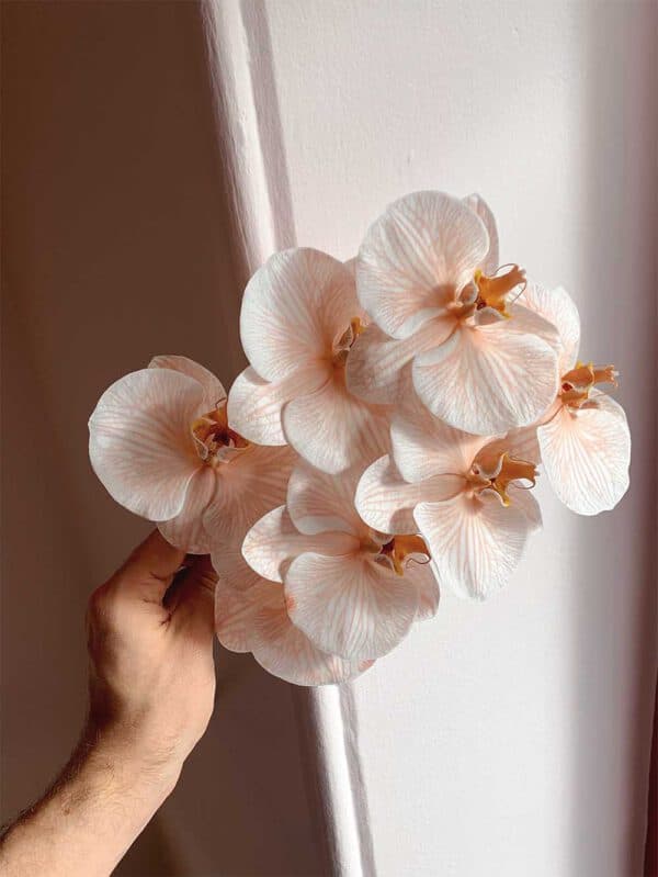 Brett Mathew John Designer exclusive interview orchid flowers on Thursd