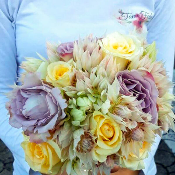 Protea Blushing Bride or Serruria on Thursd