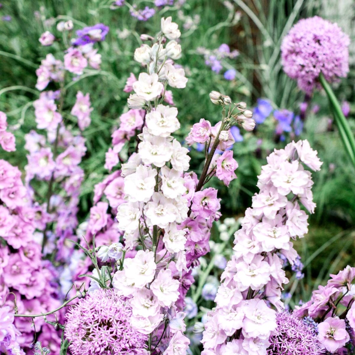 15 best floral Instagram accounts Flowerona on Thursd