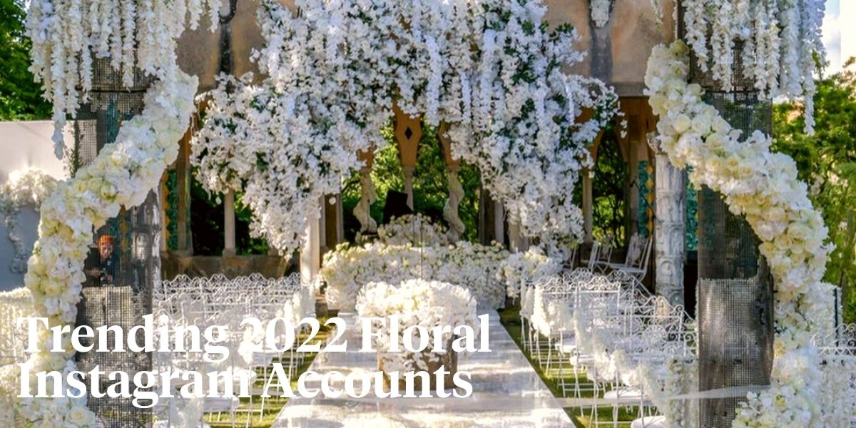 15 Best Floral Instagram Accounts to Follow in 2022 Thursd