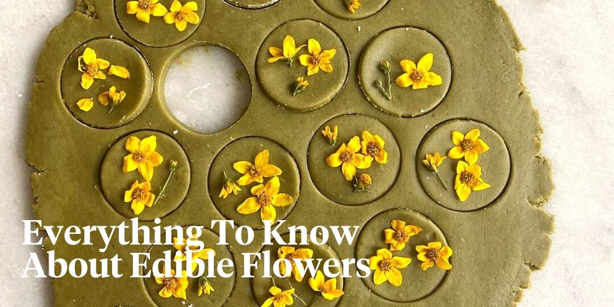 15 best edible flowers header on Thursd