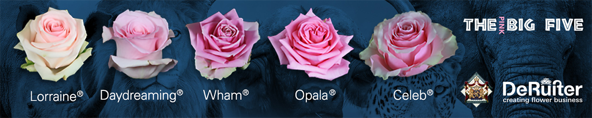 Different types of roses