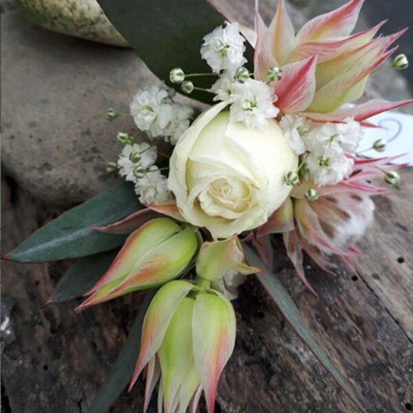 Coursage With Protea Blushing Bride from Zuluflora on Thursd