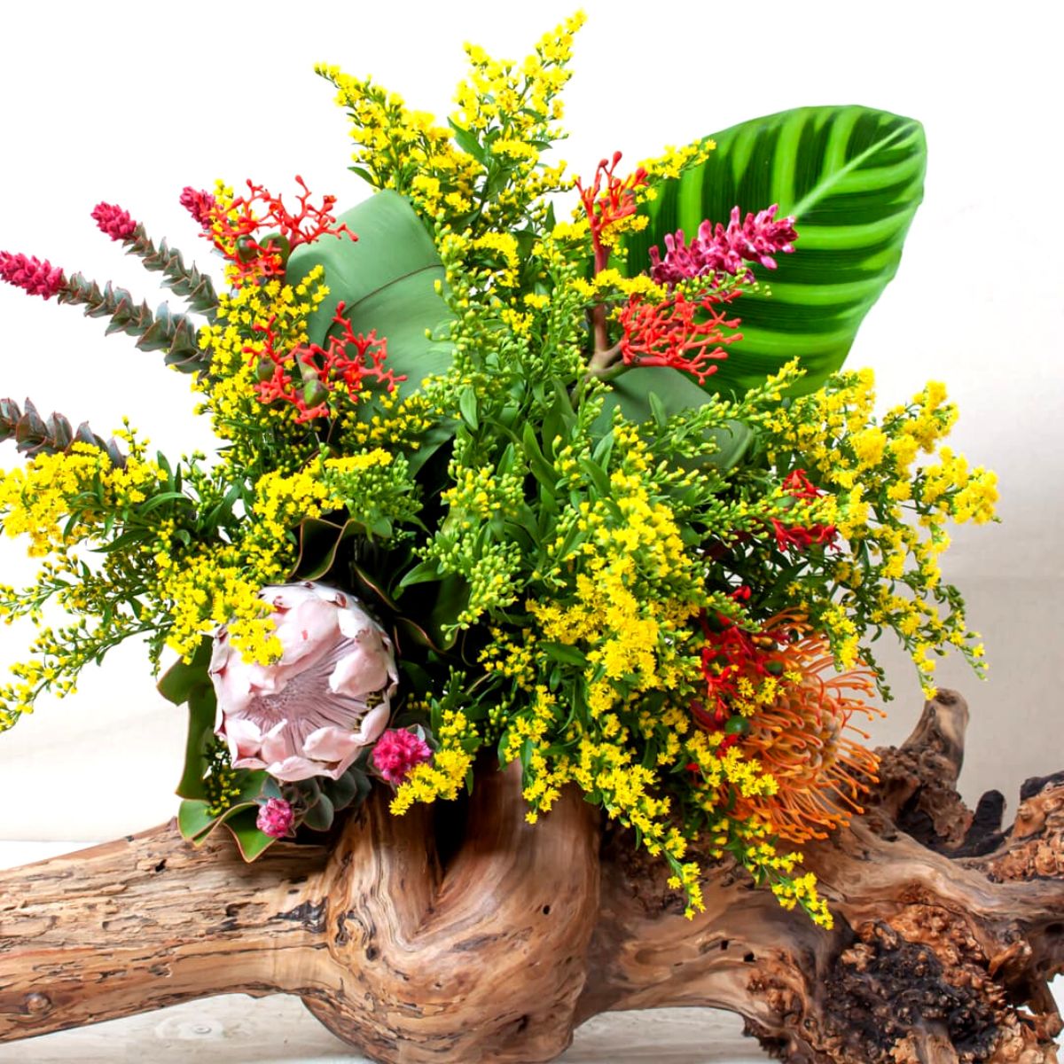 Painted Solidago bouquet on Thursd