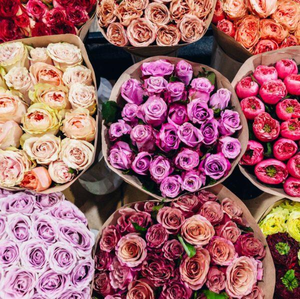 Different colors of roses in buckets at florist
