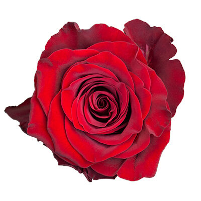 DecoFresh' Florist Suggestions for Valentine's Day