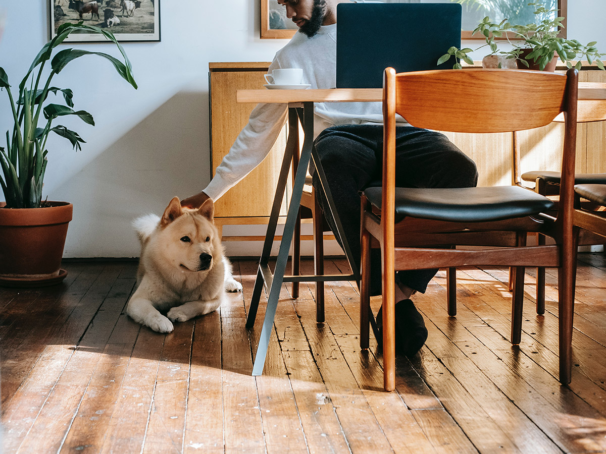 House plants dog by Zen Chung on Thursd