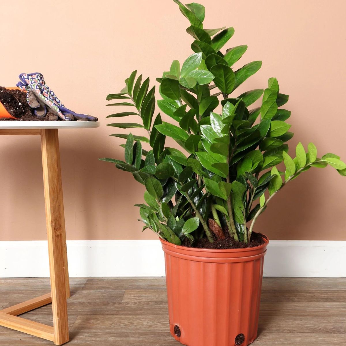 10 Tips to Nail Your Interior Decorations With Plants - Article on ...