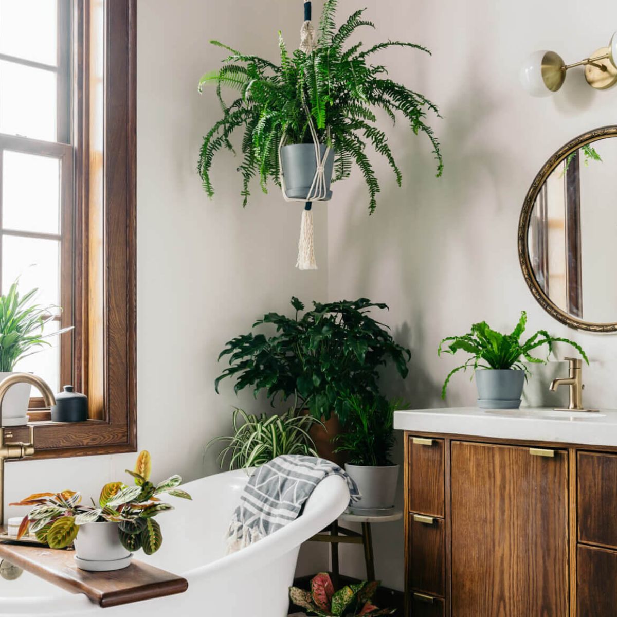 Adding plants in bathroom for interior decoration is a great way of adding more life to spaces on Thursd