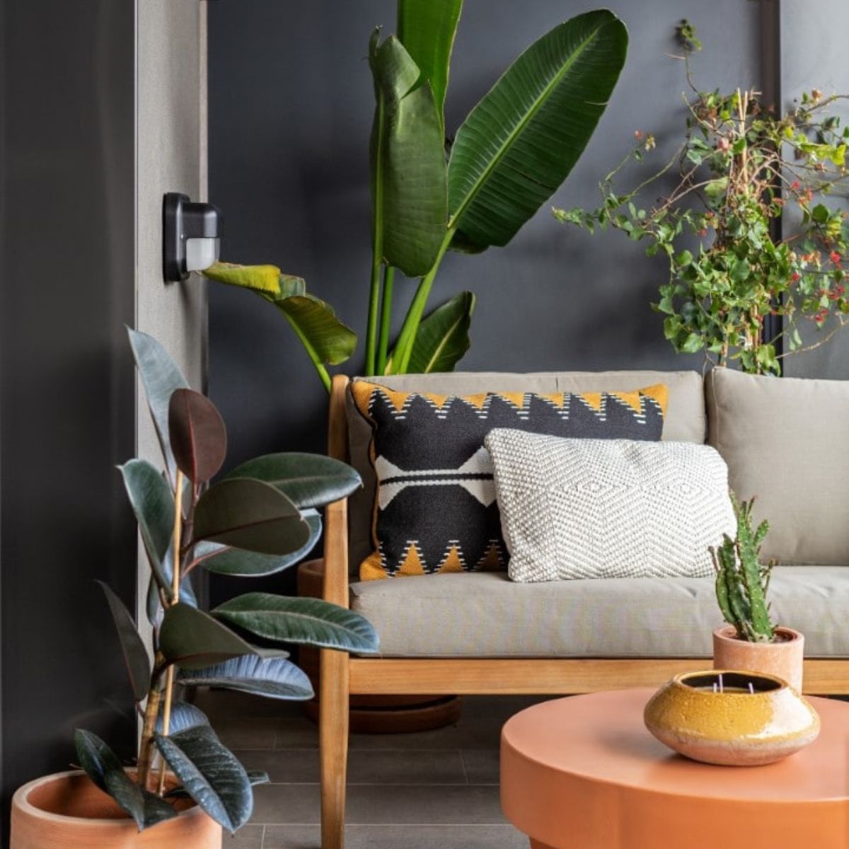 Interior decorating with plants with contrasting green colors on Thursd
