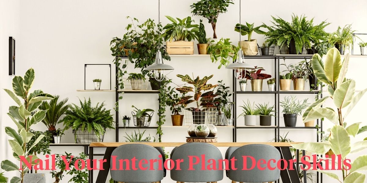 Tips for interior decoration with plants header on Thursd